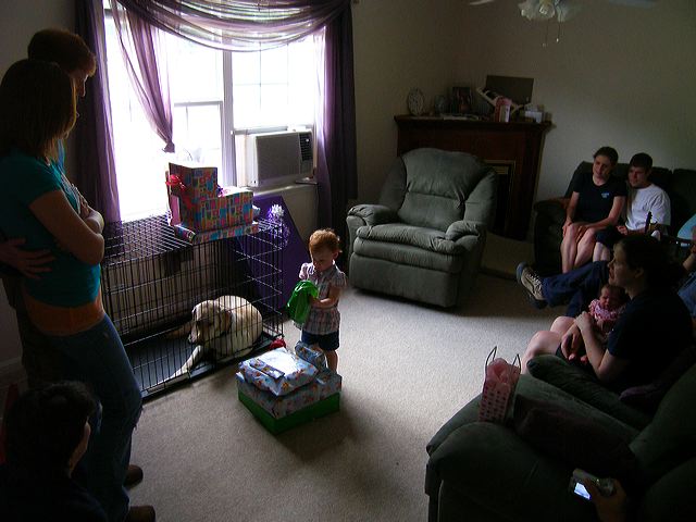 p6243140.jpg