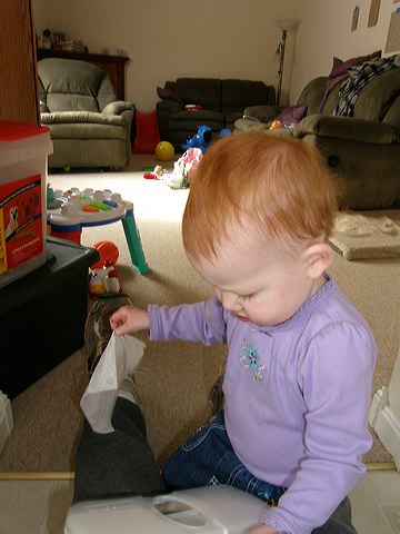 pb042306.jpg