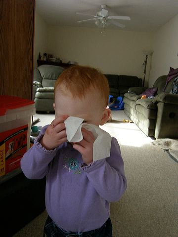 pb042310.jpg