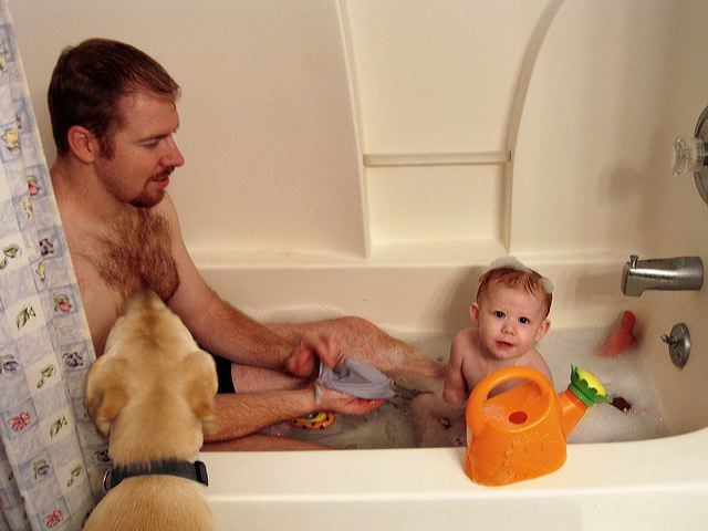 pc152347.jpg