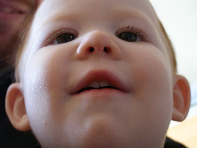 p1272517.jpg