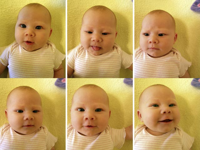 6Faces.jpg