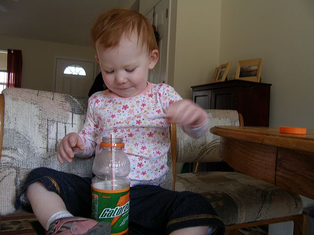 p3192678.jpg