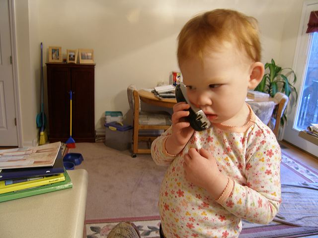 p3192692.jpg