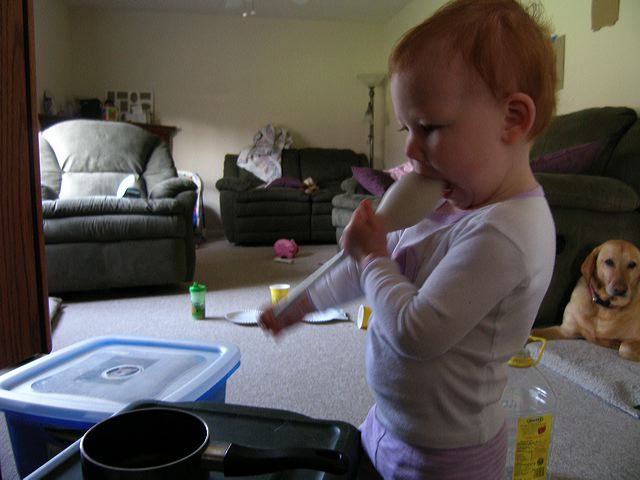 p4282887.jpg