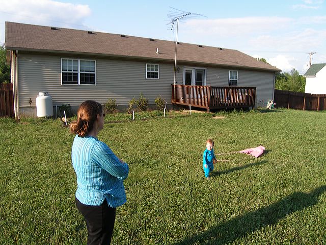 p5172963.jpg