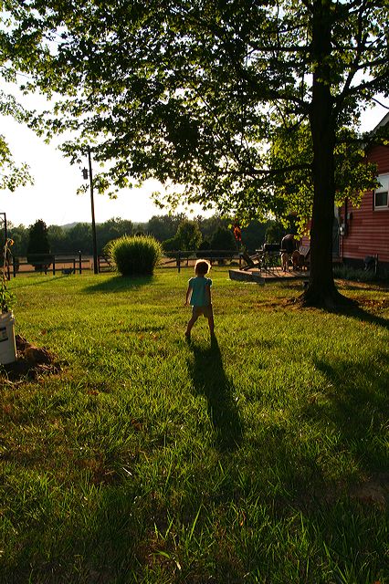 img_8370.jpg