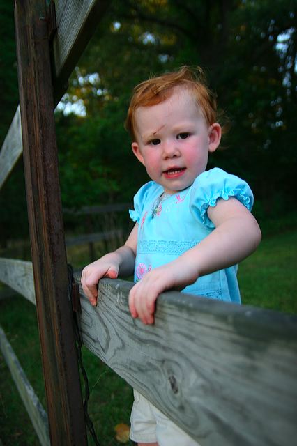img_8374.jpg