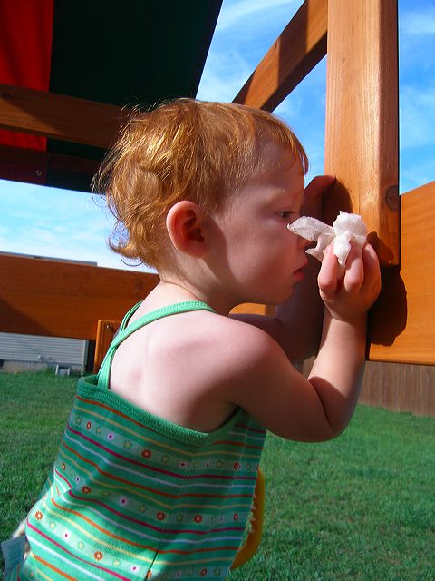 p7223385.jpg