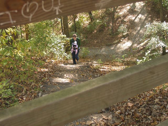 pa161301.jpg