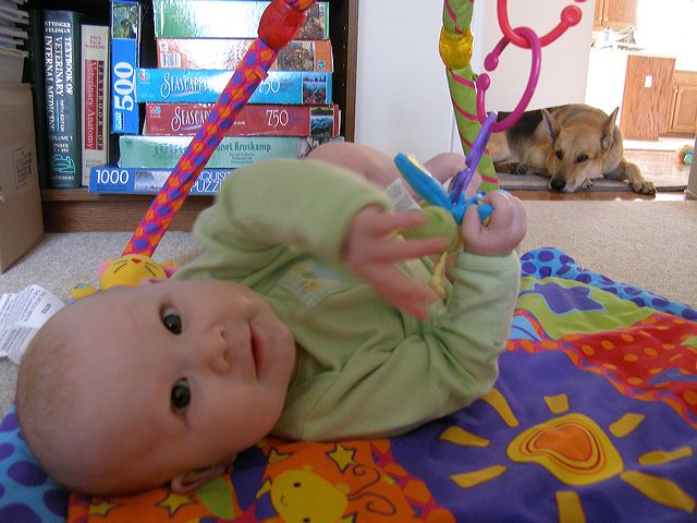 pb051471.jpg