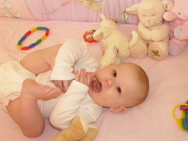 p1011795.jpg