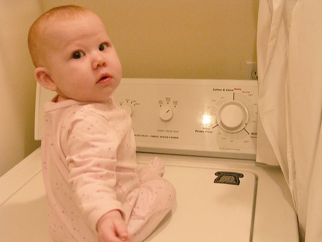 p1181861.jpg