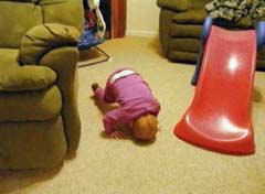 The Somersault