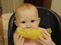 Corn on the Cob