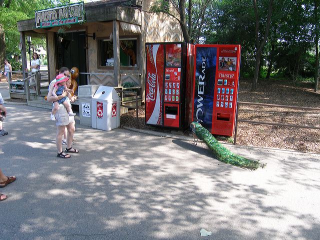 p6250510.jpg