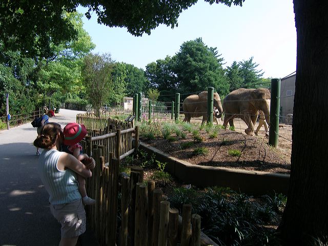 p6250520.jpg